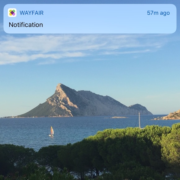 Meet your Posher, Joanna - Picture 1 of 1